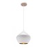 Подвесной светильник Loft IT Loft1845WH - loft1845___1