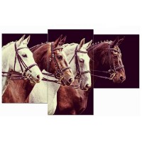 Мини-модульная картина TL-MM1016 Toplight