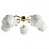 Потолочная люстра Arte Lamp Millo A9549PL-5GO - Потолочная люстра Arte Lamp Millo A9549PL-5GO