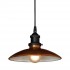 Подвесной светильник Lussole Loft GRLSL-6806-01 - grlsl_6806_01_3