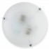 Светильник настенно-потолочный Irma TL9071Y-02WH Toplight - Настенный светильник Toplight Irma TL9071Y-02WH