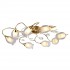 Потолочная люстра Arte Lamp Mughetto A9289PL-8GO - Потолочная люстра Arte Lamp Mughetto A9289PL-8GO