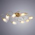Потолочная люстра Arte Lamp Mughetto A9289PL-8GO - a9289pl_8go_1