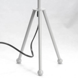 Настольная лампа Lussole Amistad LSP-0537 - lsp_0537_1
