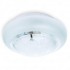 Светильник настенно-потолочный Brianna TL9570Y-02WH Toplight - Потолочный светильник Toplight Brianna TL9570Y-02WH