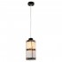 Подвесной светильник Lussole Loft GRLSP-0241 - Подвесной светильник Lussole Loft GRLSP-0241