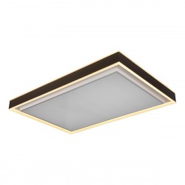 Потолочный светодиодный светильник iLedex Summery B6233-196W/930*630 WH - b6233_196__930_630____2