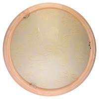 Светильник настенно-потолочный Jane TL9640Y-00PN Toplight