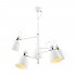 Подвесная люстра Lumion Kizzy 3734/5 - Подвесная люстра Lumion Kizzy 3734/5