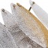 Настенный светильник Divinare Amelie 6002/01 AP-1 - 6002_01_ap_1_1