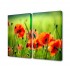 Модульная картина TL-M2051 Toplight - Модульная картина Маковые поля Toplight 100х75см TL-M2051