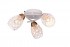 Люстра потолочная Mavis TL3810X-03WH Toplight - Люстра потолочная Mavis TL3810X-03WH Toplight