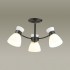Потолочная люстра Lumion Wilma 4534/5C - Потолочная люстра Lumion Wilma 4534/5C