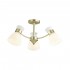 Потолочная люстра Lumion Wilma 4535/3C - Потолочная люстра Lumion Wilma 4535/3C