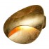 Настенный светодиодный светильник iLedex Flux ZD7151-6W Gold - zd7151_6__gold_2