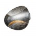Настенный светодиодный светильник iLedex Flux ZD7151-6W Silver - zd7151_6__silver_2