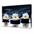 Холст TL-H3012 Toplight - Холст Toplight Цветы 50х75х3см TL-H3012