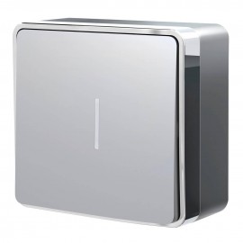 Выключатель одноклавишный с подсветкой Werkel Gallant серебряный W5010106 4690389167072 - Выключатель одноклавишный с подсветкой Werkel Gallant серебряный W5010106 4690389167072