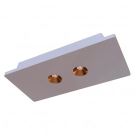 Потолочный светодиодный светильник Loft IT Architect OL1072-WG/2 - Потолочный светодиодный светильник Loft IT Architect OL1072-WG/2