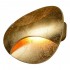 Настенный светодиодный светильник iLedex Flux ZD8151-5W Gold - zd8151_5__gold_1