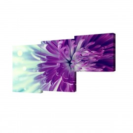 Модульная картина TL-M2058 Toplight - Модульная картина Фиолетовые астры Toplight 150х75см TL-M2058