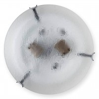 Светильник настенно-потолочный Julianna TL9301Y-02SM Toplight
