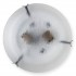 Светильник настенно-потолочный Julianna TL9301Y-02SM Toplight - Настенный светильник Toplight Julianna TL9301Y-02SM