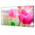 Холст TL-H3015 Toplight - Холст Toplight Цветы 100х150х3см TL-H3015