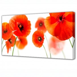 Холст TL-H3018 Toplight - Холст Toplight Цветы 100х150х3см TL-H3018