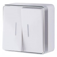 Выключатель Werkel двухклавишный с подсветкой Gallant белый WL15-03-03 4690389102073