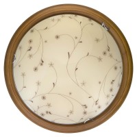 Светильник настенно-потолочный Karissa TL9650Y-00OA Toplight