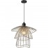 Светильник подвесной Phebe TL1192H-01SL Toplight - Подвесной светильник Toplight Phebe TL1192H-01SL