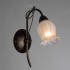 Бра Arte Lamp 83 A7449AP-1BR - Бра Arte Lamp 83 A7449AP-1BR