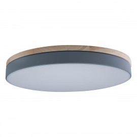 Потолочный светодиодный светильник Loft IT Axel 10001/36 grey - Потолочный светодиодный светильник Loft IT Axel 10001/36 grey