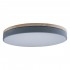 Потолочный светодиодный светильник Loft IT Axel 10001/36 grey - Потолочный светодиодный светильник Loft IT Axel 10001/36 grey
