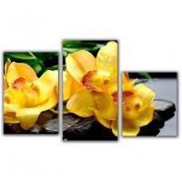 Мини-модульная картина TL-MM1040 Toplight