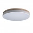 Потолочный светодиодный светильник Loft IT Axel 10001/36 white - Потолочный светодиодный светильник Loft IT Axel 10001/36 white