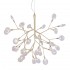 Подвесная люстра Crystal Lux Evita SP36 Gold/Transparent - evita_sp36_gold_transparent_1