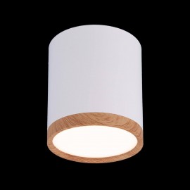 Потолочный светодиодный светильник Elektrostandard DLR024 6W 4200K белый матовый 4690389121951 - 4690389121951_1