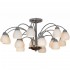 Потолочная люстра Lussole Apiro GRLSF-2403-15 - Потолочная люстра Lussole Apiro GRLSF-2403-15