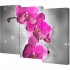 Модульная картина TL-M3076 Toplight - Модульная картина Toplight 100х150х3см TL-M3076