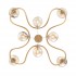 Подвесная люстра ST Luce Legatezza SL1502.203.08 - sl1502_203_08_1