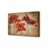 Холст TL-H3029 Toplight - Холст Toplight 50х75х2см TL-H3029