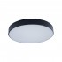 Потолочный светодиодный светильник Loft IT Axel 10002/24 black - Потолочный светодиодный светильник Loft IT Axel 10002/24 black