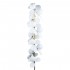 Торшер Loft IT Matisse 10008F white - Торшер Loft IT Matisse 10008F white