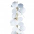 Торшер Loft IT Matisse 10008F white - 10008f__hite_2
