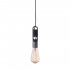 Подвесной светильник Loft IT Tails Loft1510BL - Подвесной светильник Loft IT Tails Loft1510BL