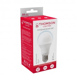 Лампа светодиодная Thomson E27 19W 6500K груша матовая TH-B2349 - t__b2349_1