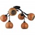 Потолочная люстра Lussole Bagheria GRLSF-6213-06 - Потолочная люстра Lussole Bagheria GRLSF-6213-06