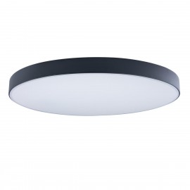 Потолочный светодиодный светильник Loft IT Axel 10002/48 black - Потолочный светодиодный светильник Loft IT Axel 10002/48 black